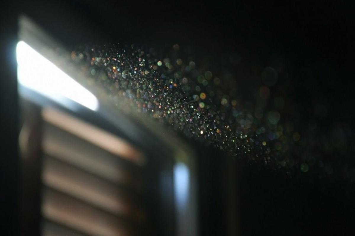 4 Major Home Allergens and How to Get Rid of Them