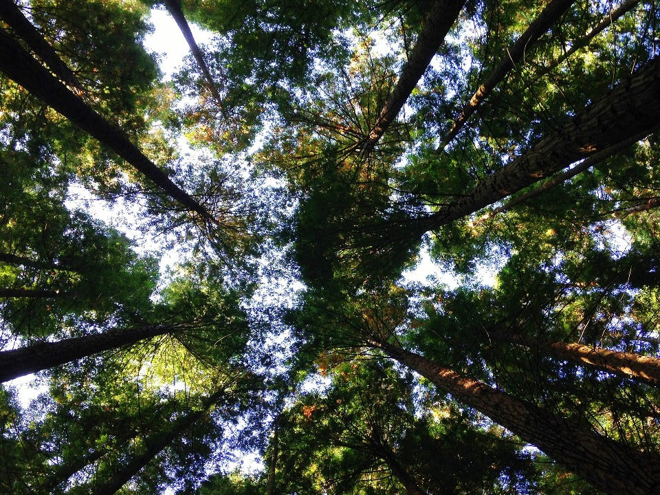 5 Not-So-Obvious Ways You're Hurting the Environment