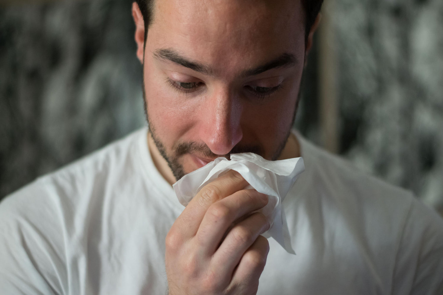 Tips For Preventing Allergies At Home