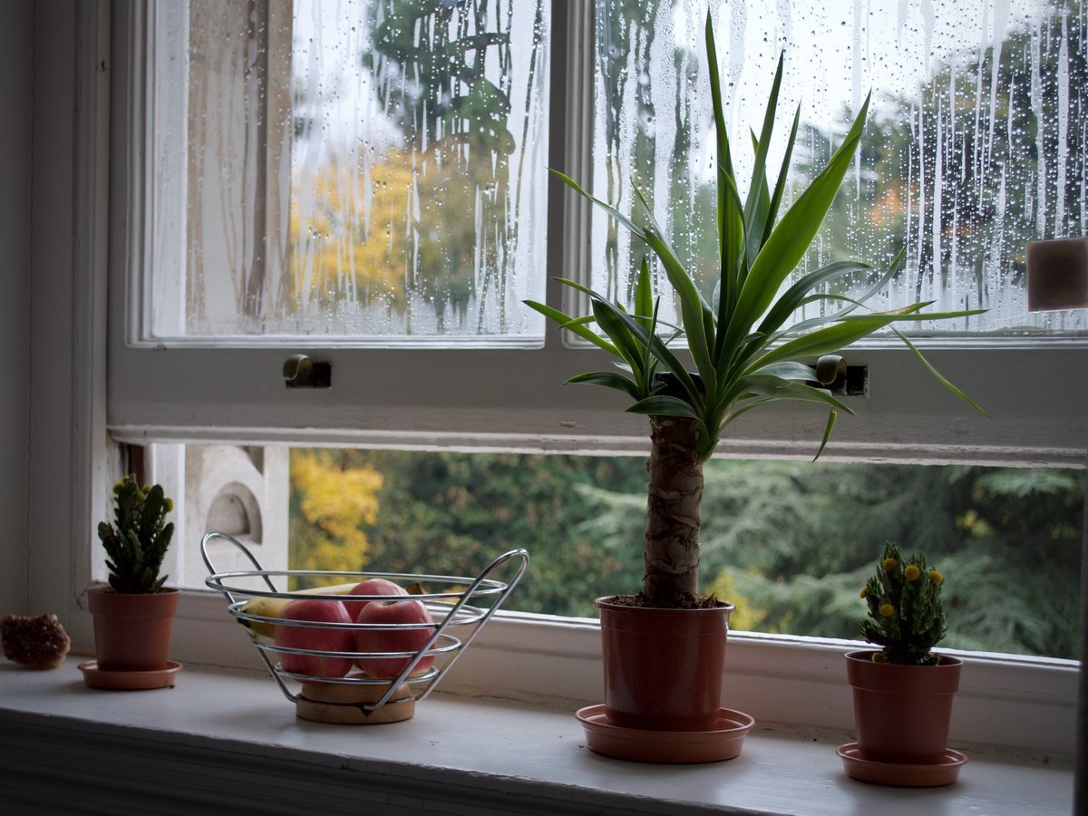 How to Freshen Up Your Home and Get it Smelling Clean