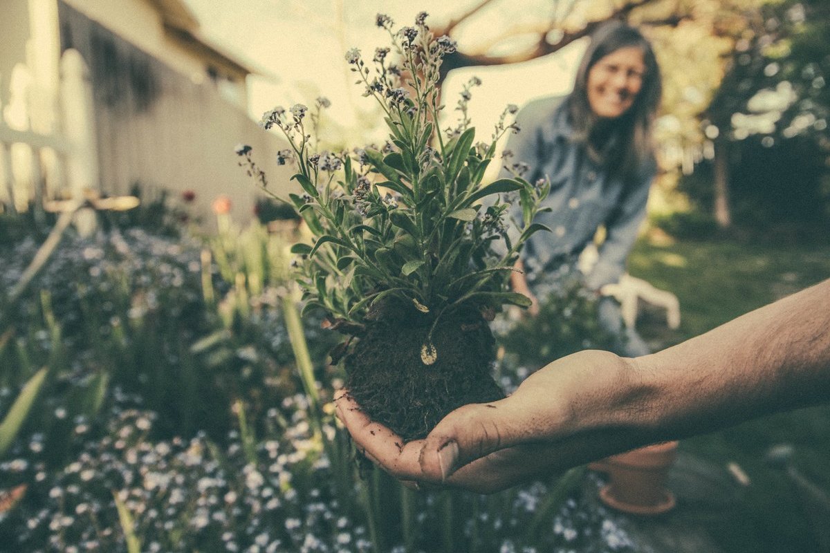 5 Simple Eco-Friendly Lifestyle Changes