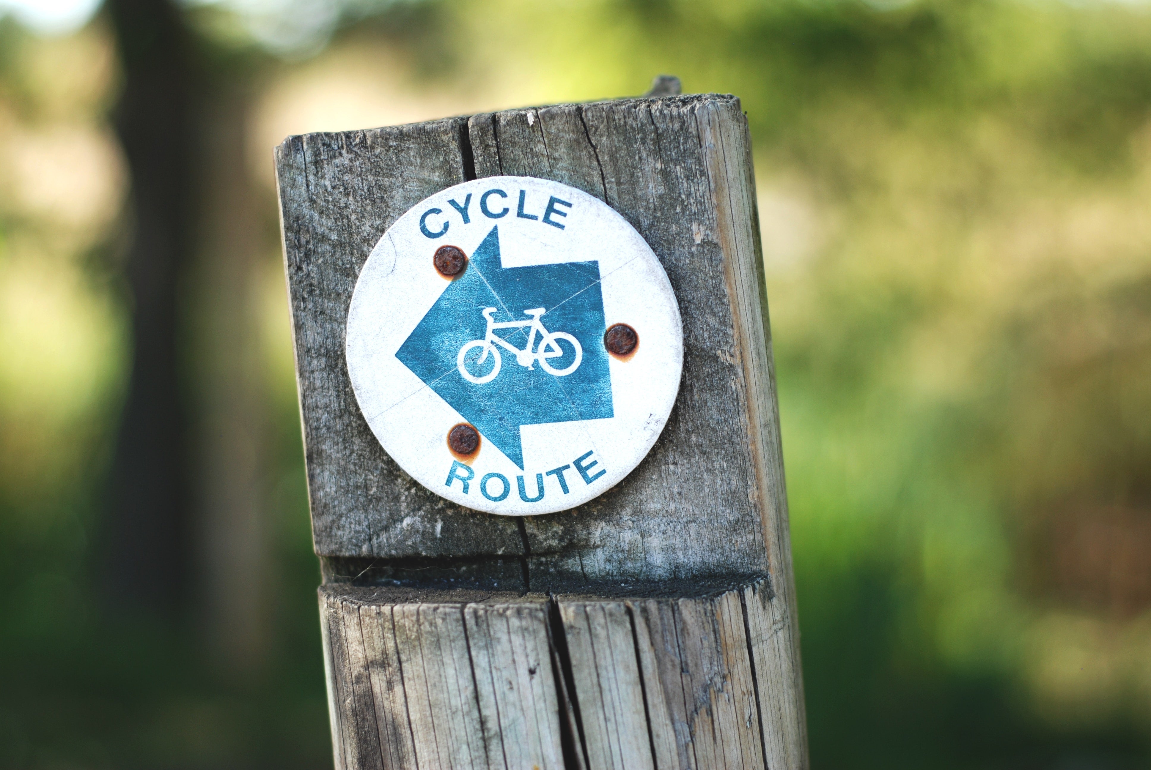 Seven Simple Sustainable Switches You Can Make Today