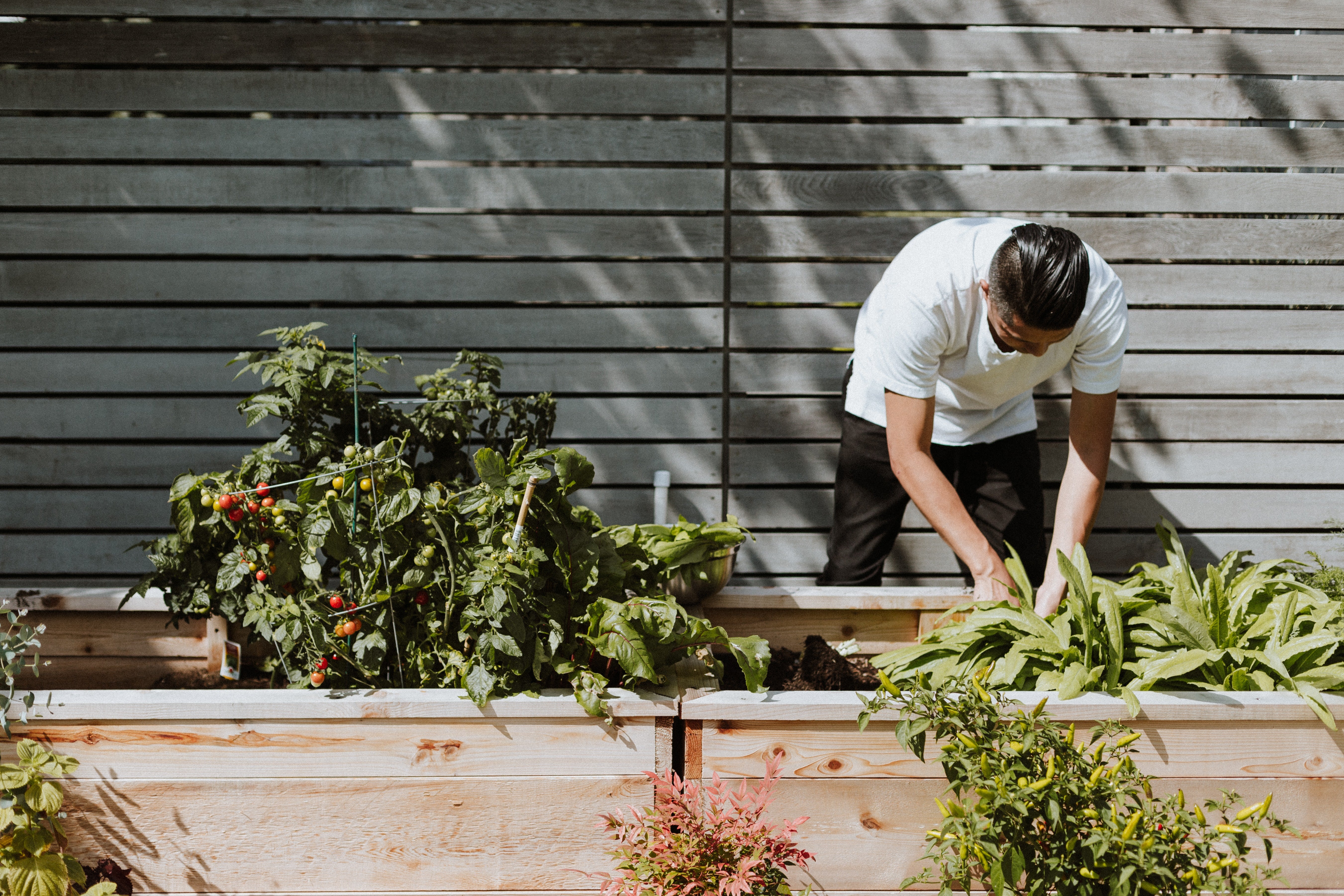 Eco-Friendly Earth Day Activities