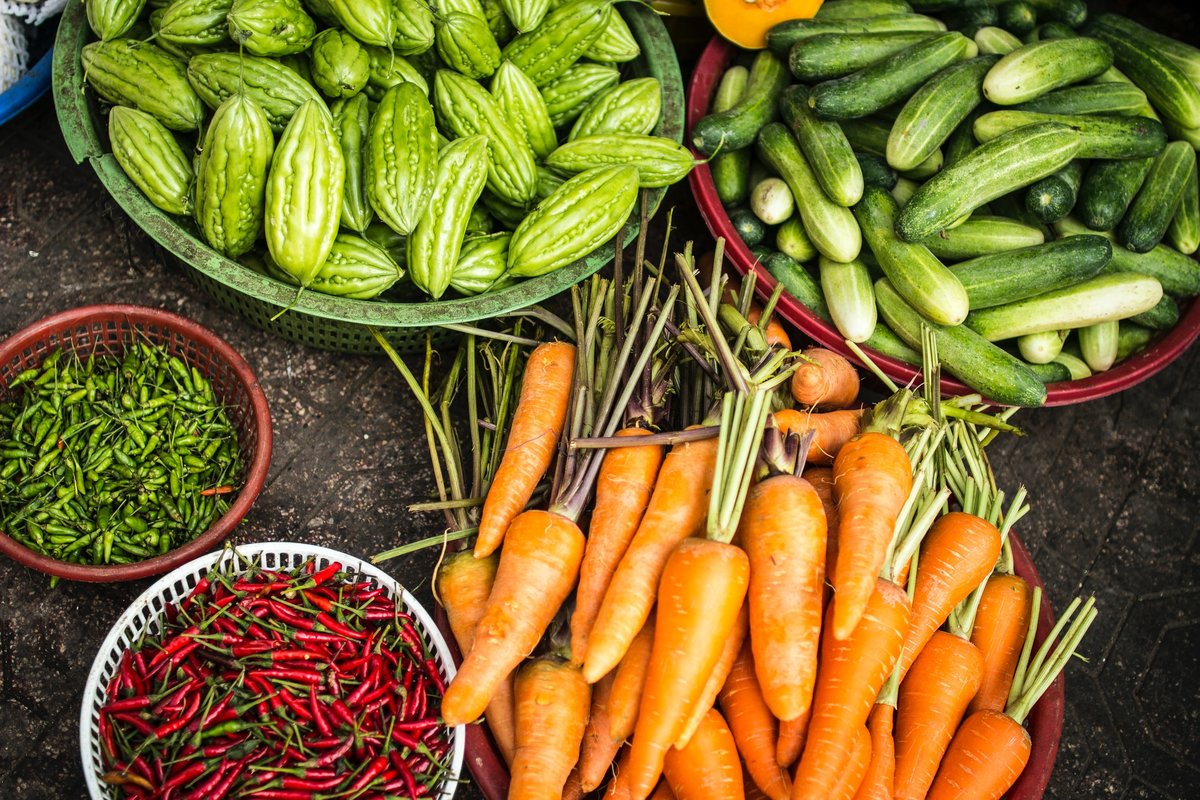 10 Eco-Friendly Tips for Your Home